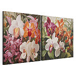 Modularer Leinwanddruck Farbenprächtige Orchideen in voller Blüte