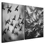 Modularer Leinwanddruck Collage mit fliegenden Vögeln